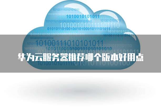 华为云服务器推荐哪个版本好用点
