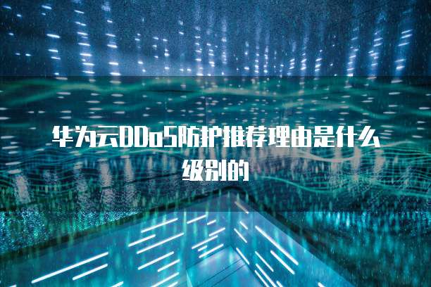 华为云DDoS防护推荐理由是什么级别的