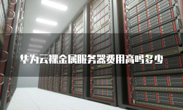华为云裸金属服务器费用高吗多少