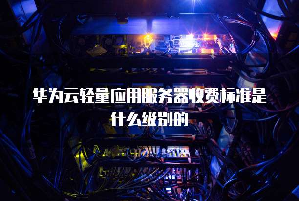 华为云轻量应用服务器收费标准是什么级别的