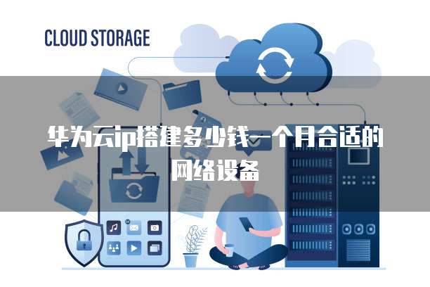 华为云ip搭建多少钱一个月合适的网络设备