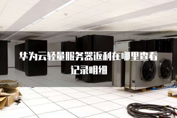 华为云轻量服务器返利在哪里查看记录明细