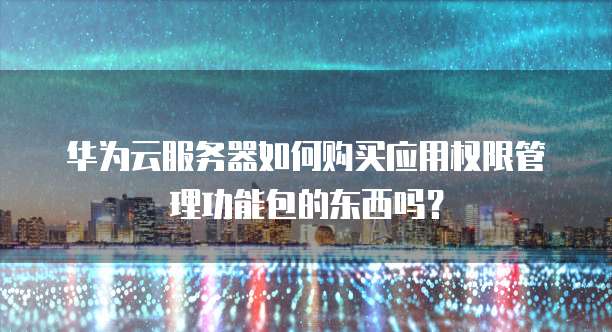 华为云服务器如何购买应用权限管理功能包的东西吗?