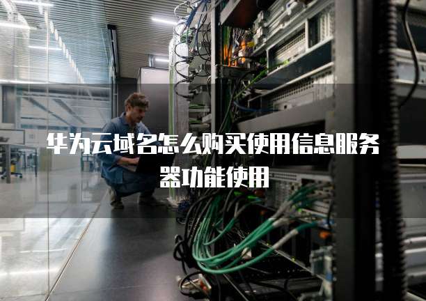 华为云域名怎么购买使用信息服务器功能使用