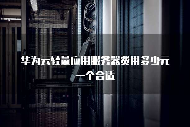 华为云轻量应用服务器费用多少元一个合适