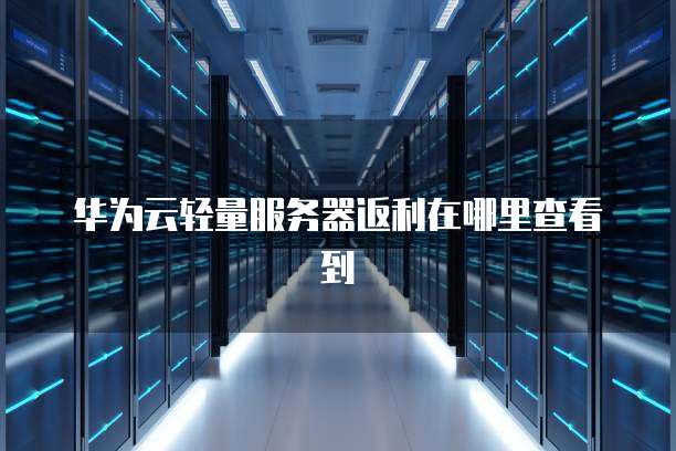 华为云轻量服务器返利在哪里查看到