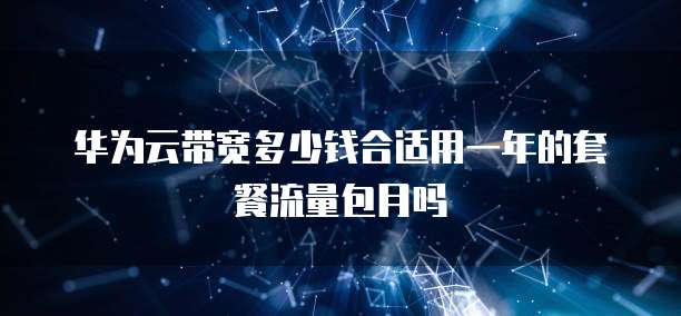 华为云带宽多少钱合适用一年的套餐流量包月吗