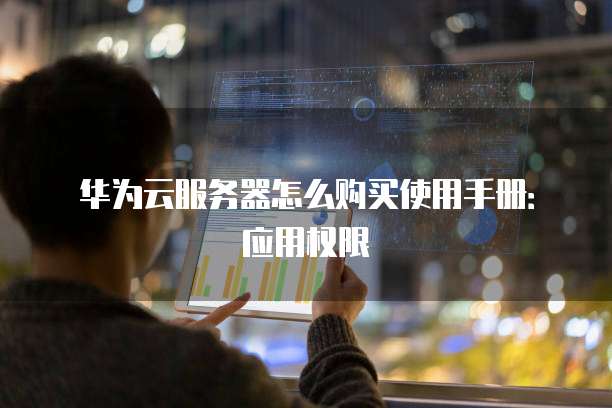 华为云服务器怎么购买使用手册:应用权限