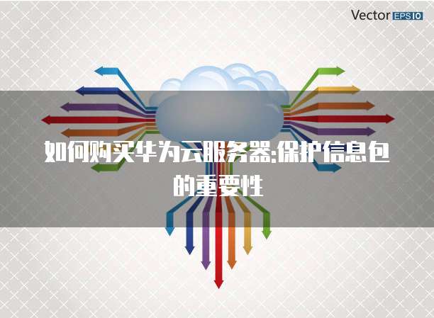 如何购买华为云服务器:保护信息包的重要性