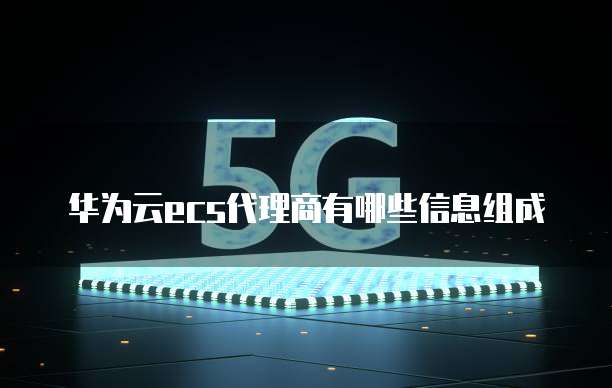 华为云ecs代理商有哪些信息组成