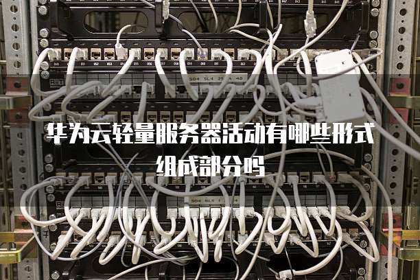 华为云轻量服务器活动有哪些形式组成部分吗