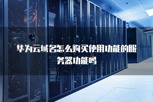 华为云域名怎么购买使用功能的服务器功能吗