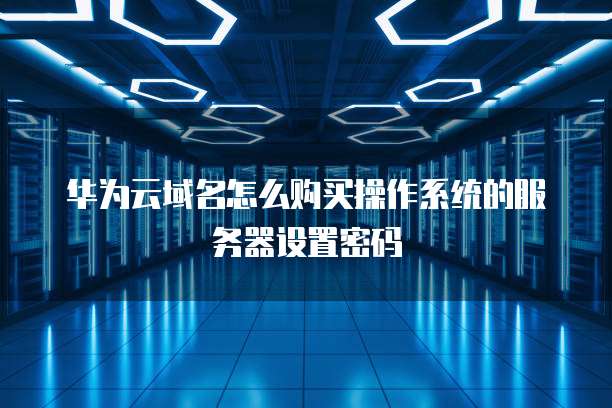 华为云域名怎么购买操作系统的服务器设置密码