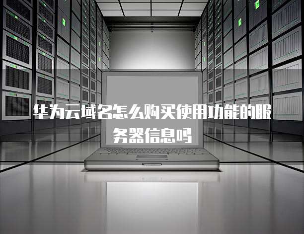华为云域名怎么购买使用功能的服务器信息吗