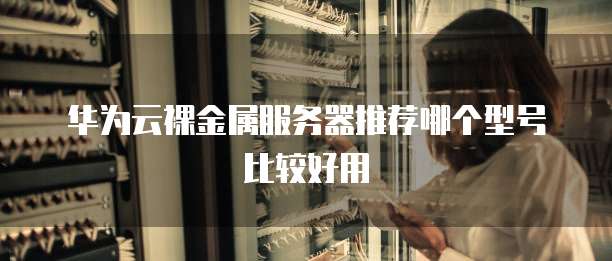 华为云裸金属服务器推荐哪个型号比较好用
