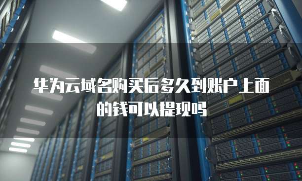 华为云域名购买后多久到账户上面的钱可以提现吗