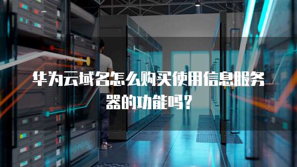 华为云域名怎么购买使用信息服务器的功能吗?