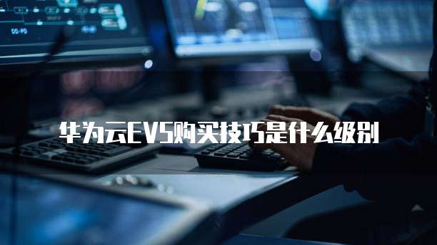 华为云EVS购买技巧是什么级别