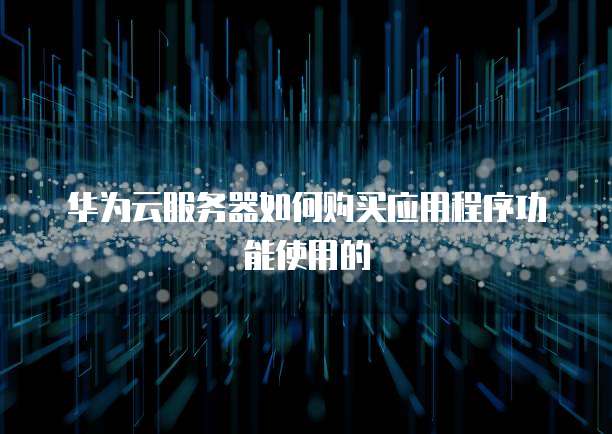 华为云服务器如何购买应用程序功能使用的