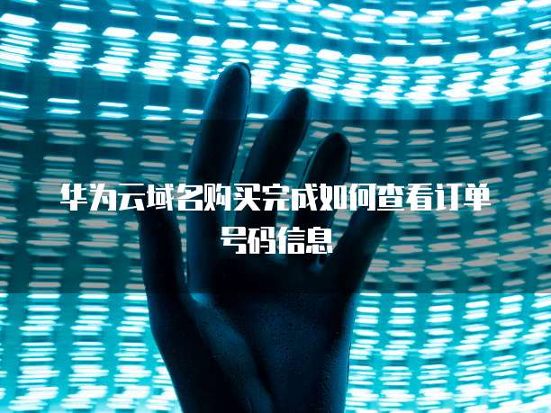 华为云域名购买完成如何查看订单号码信息