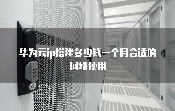 华为云ip搭建多少钱一个月合适的网络使用