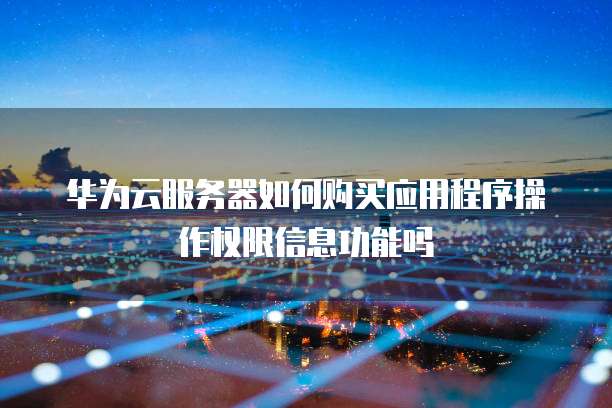 华为云服务器如何购买应用程序操作权限信息功能吗