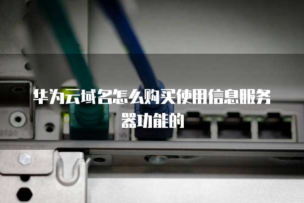 华为云域名怎么购买使用信息服务器功能的