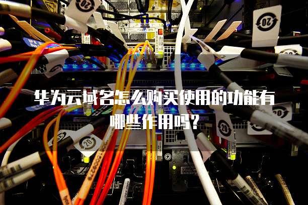 华为云域名怎么购买使用的功能有哪些作用吗？