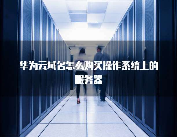 华为云域名怎么购买操作系统上的服务器