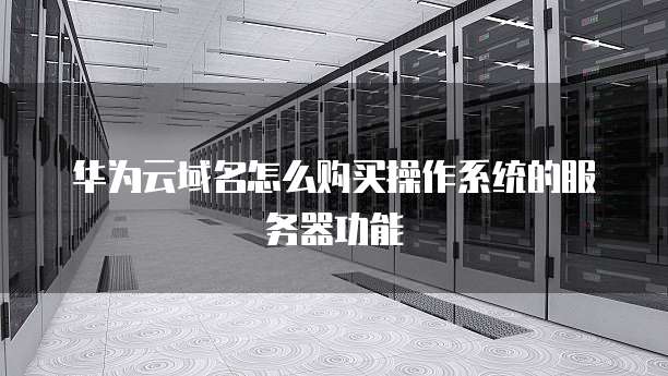 华为云域名怎么购买操作系统的服务器功能