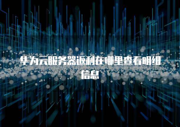 华为云服务器返利在哪里查看明细信息