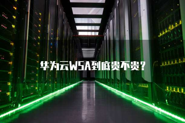 华为云WSA到底贵不贵?