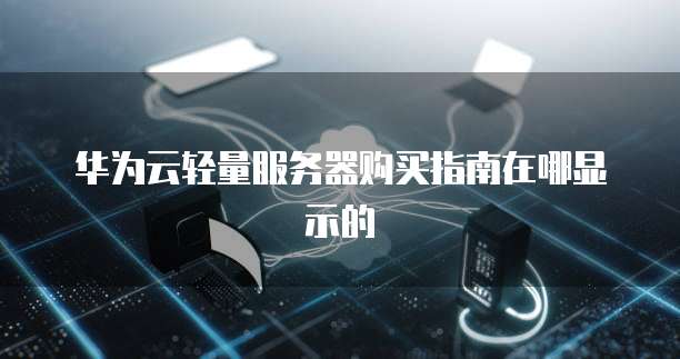 华为云轻量服务器购买指南在哪显示的