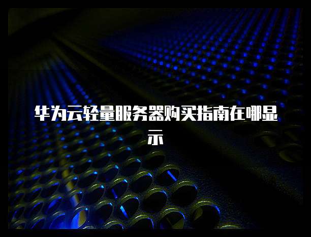 华为云轻量服务器购买指南在哪显示