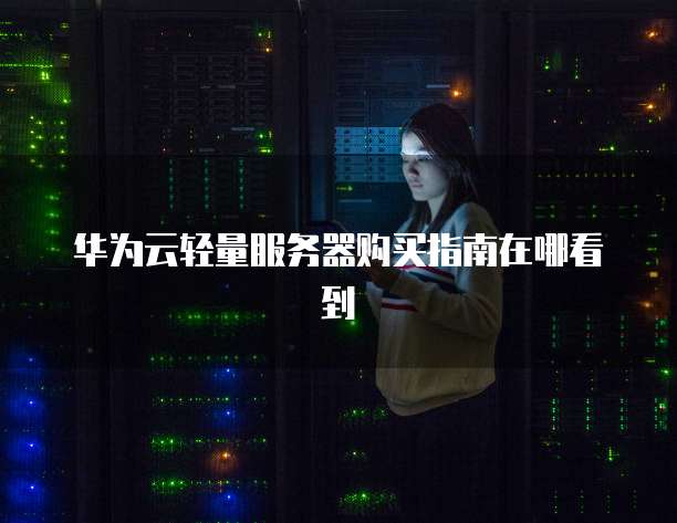 华为云轻量服务器购买指南在哪看到