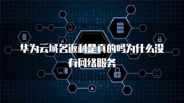 华为云域名返利是真的吗为什么没有网络服务