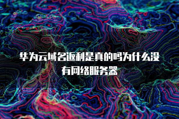 华为云域名返利是真的吗为什么没有网络服务器