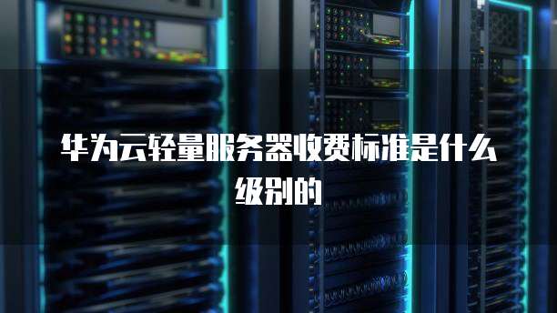 华为云轻量服务器收费标准是什么级别的