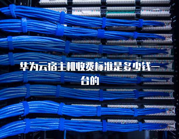 华为云宿主机收费标准是多少钱一台的