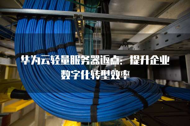 华为云轻量服务器返点:提升企业数字化转型效率