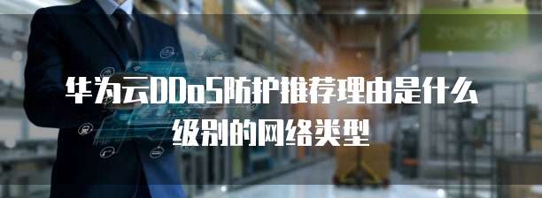 华为云DDoS防护推荐理由是什么级别的网络类型