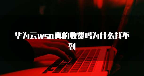 华为云wsa真的收费吗为什么找不到