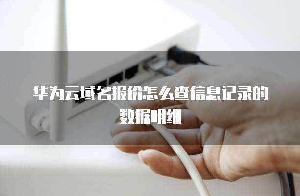 华为云域名报价怎么查信息记录的数据明细