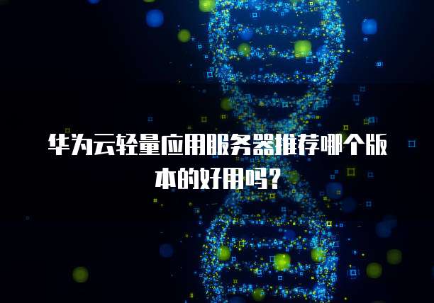 华为云轻量应用服务器推荐哪个版本的好用吗?