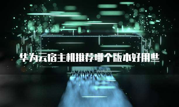 华为云宿主机推荐哪个版本好用些