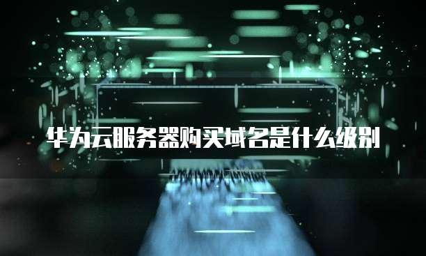 华为云服务器购买域名是什么级别