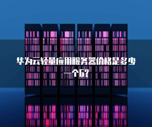 华为云轻量应用服务器价格是多少一个G?