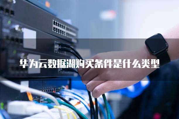 华为云数据湖购买条件是什么类型