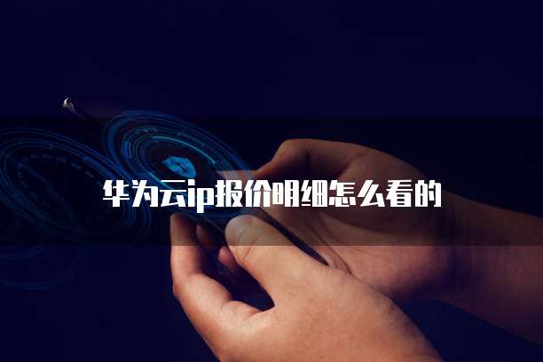 华为云ip报价明细怎么看的