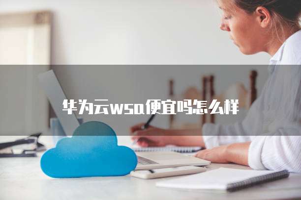 华为云wsa便宜吗怎么样